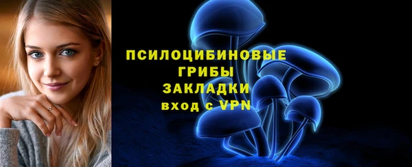 ALPHA PVP Алексеевка