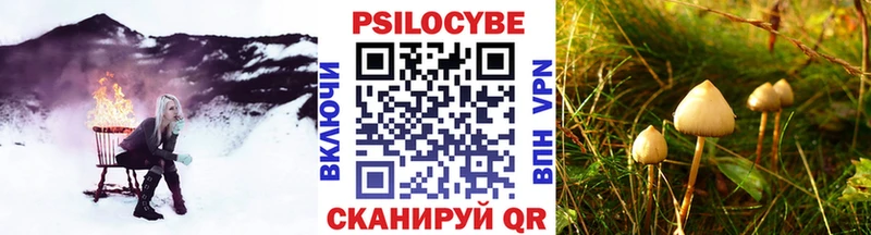 darknet какой сайт  Шебекино  Галлюциногенные грибы ЛСД  цена   блэк спрут  