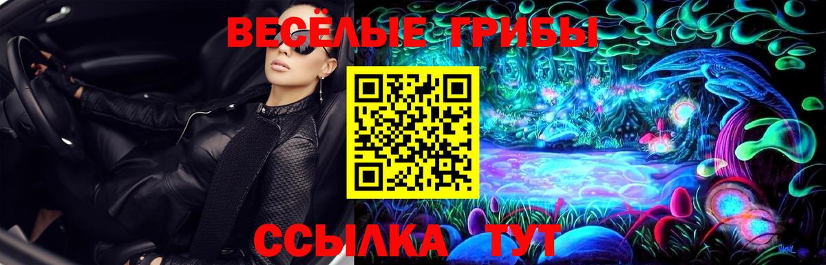 Псилоцибиновые грибы прущие грибы Шебекино