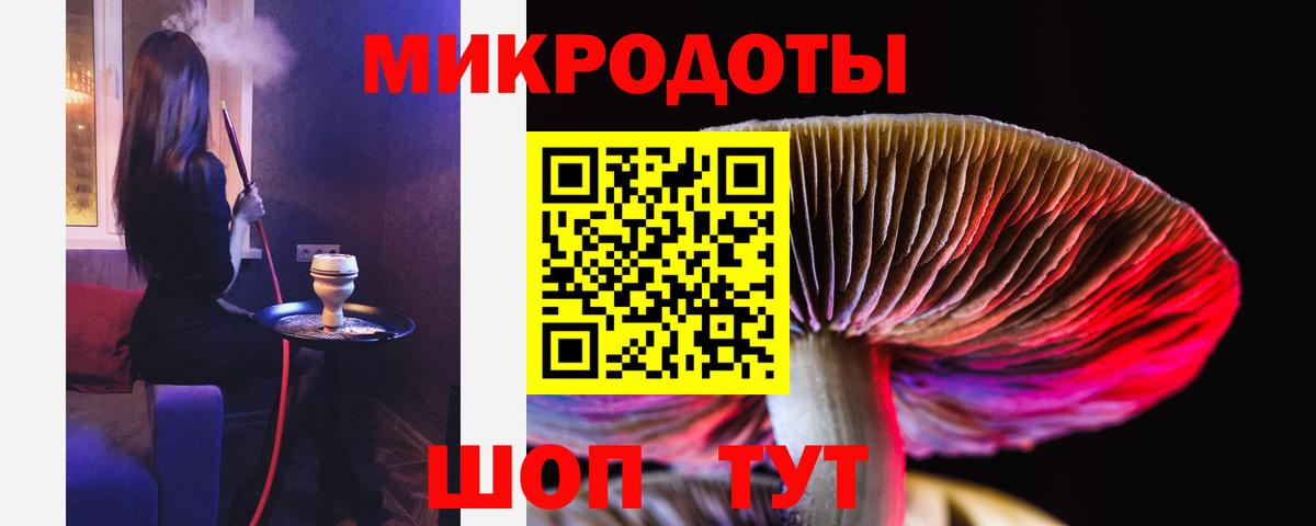 Шебекино  где найти наркотики  Галлюциногенные грибы ЛСД  Вход с VPN  Псилоцибиновые грибы GOLDEN TEACHER 