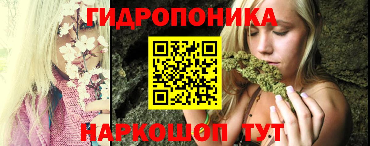 Бошки Шишки MAZAR Шебекино